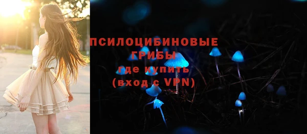экстази Вяземский