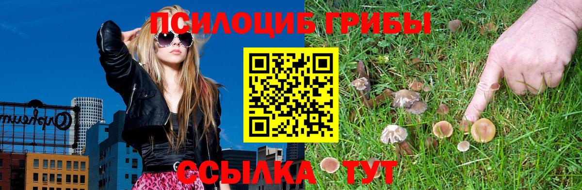 Псилоцибиновые грибы MAGIC MUSHROOMS  Дзержинский 